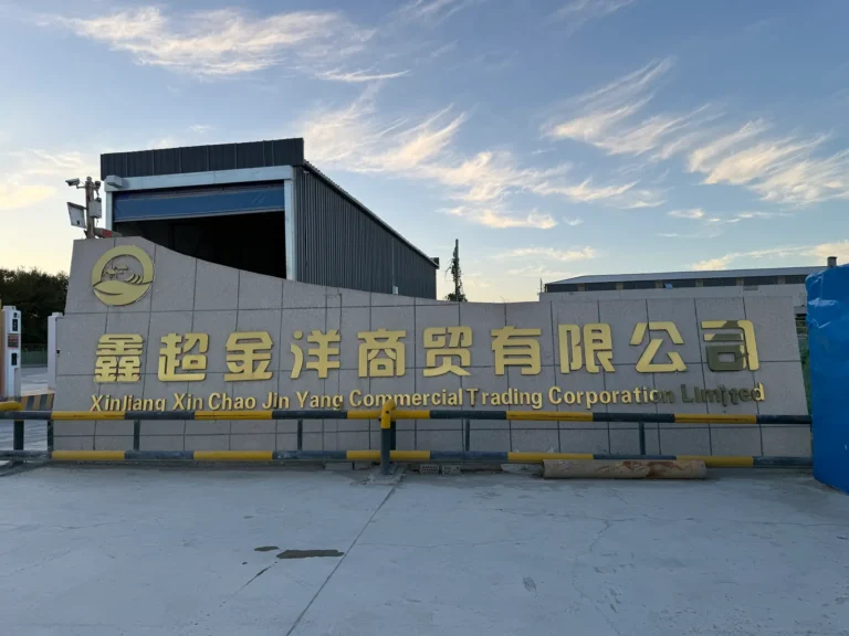 XinChao Jing Yang - Image 01 (August 9, 2026)